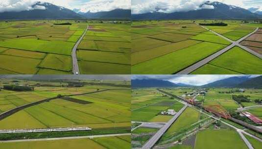 稻田水稻希望田野农业粮食高清在线视频素材下载