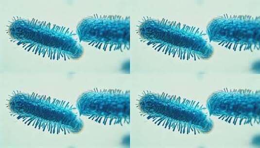 细菌微观展示素材高清在线视频素材下载