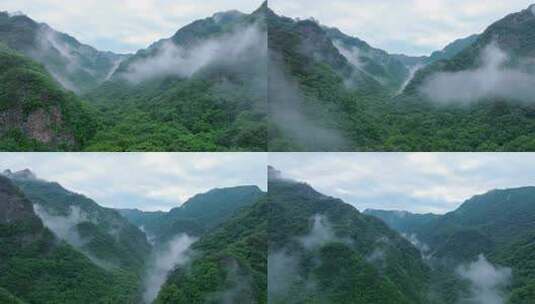 雨后清晨山谷航拍云雾蒸腾森林绿色心旷神怡高清在线视频素材下载