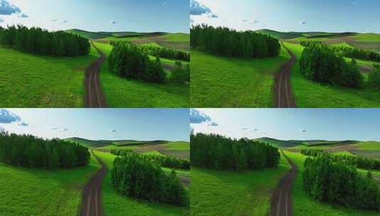 绿色田野间的蜿蜒乡村小路高清在线视频素材下载