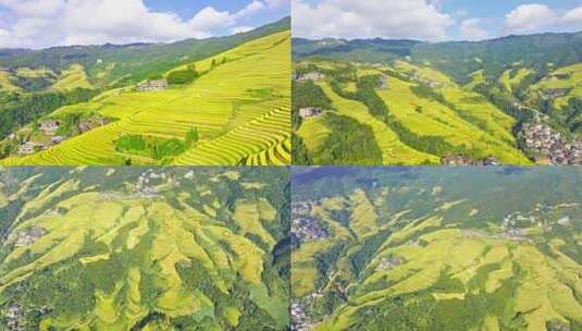 桂林龙脊梯田航拍（合集）高清在线视频素材下载