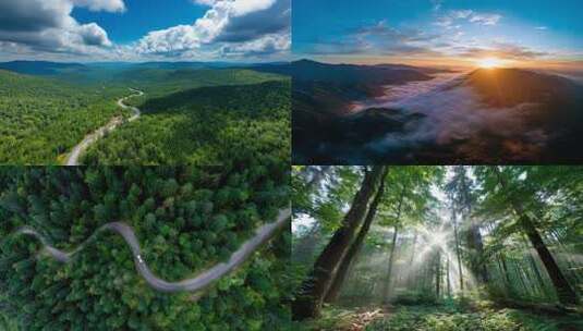 森林航拍大自然树林山脉生态绿洲环保氧吧高清在线视频素材下载