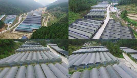 高山大棚种植高清在线视频素材下载