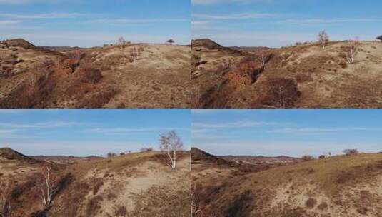 坝上秋色高清在线视频素材下载