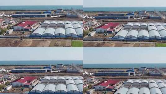 沿海地区蔬菜大棚俯瞰高清在线视频素材下载