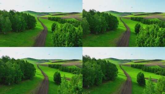 绿色田野间的蜿蜒乡村小路高清在线视频素材下载