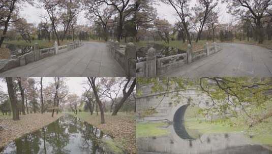 济宁曲阜三孔孔林河流秋色高清在线视频素材下载