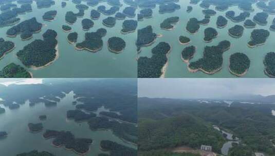 江门开平大塘面孔雀湖国家湿地公园航拍2高清在线视频素材下载