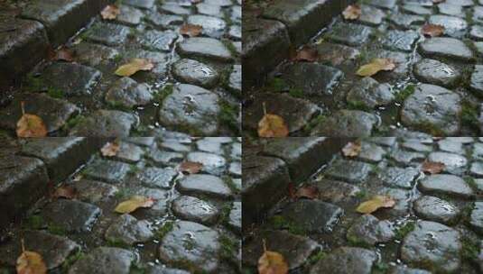 苏州立秋雨后石板路古镇意境视频高清在线视频素材下载