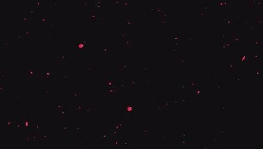 花瓣飘落带通道高清在线视频素材下载