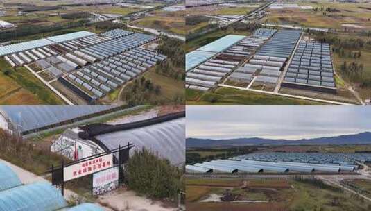 阳高县现代农业智慧大棚高清在线视频素材下载