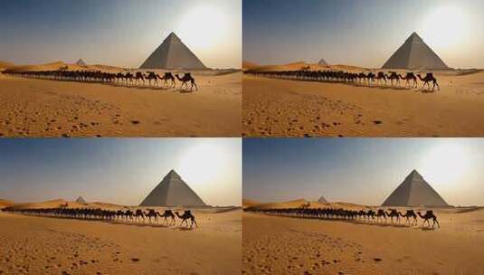 沙漠中金字塔旁的骆驼队伍高清在线视频素材下载