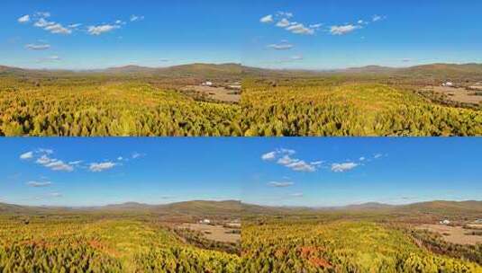 秋季航拍茫茫林海五颜六色240916-32高清在线视频素材下载