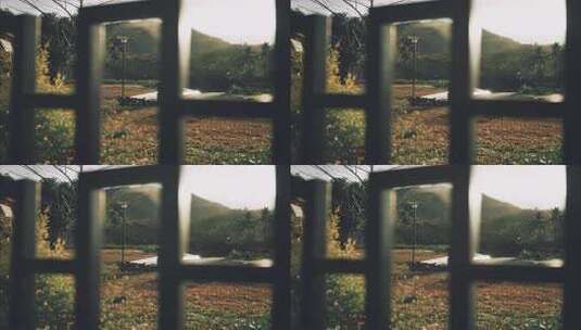 太阳雨下的公园高清在线视频素材下载