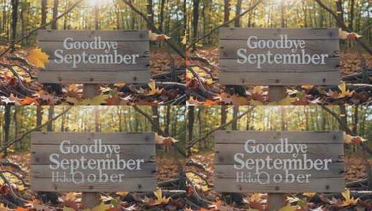 秋季树林中的告别九月木牌高清在线视频素材下载