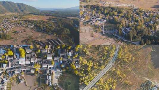 云南腾冲秋天银杏村航拍黄叶高清在线视频素材下载