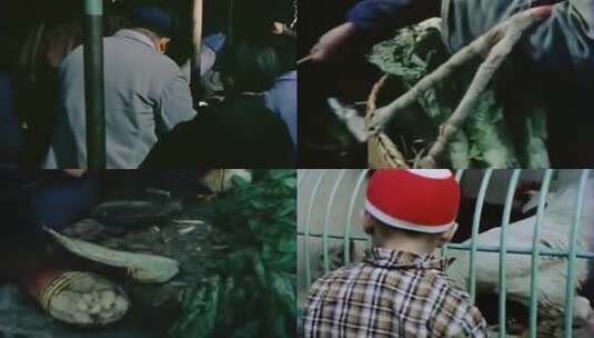 70年代80年代上海菜市场高清在线视频素材下载