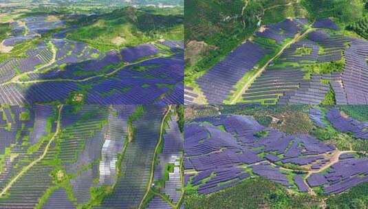 海南三亚科技新能源太阳能光伏航拍合集高清在线视频素材下载