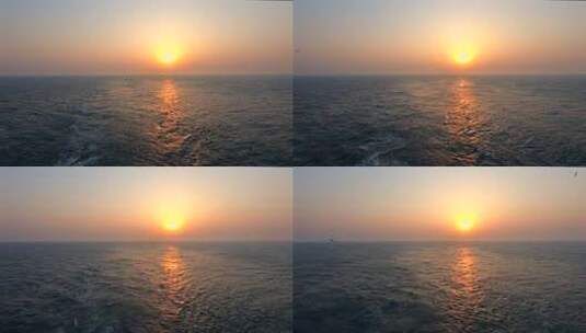 夕阳下的海鸥在海面上自由飞翔广角高清在线视频素材下载