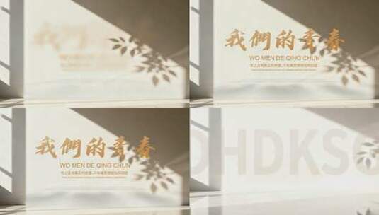 唯美简约光影文字ae模板高清AE视频素材下载