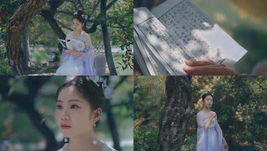 古代女子看书高清在线视频素材下载