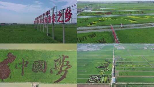 宁夏稻田艺术-稻田画1【4K】高清在线视频素材下载