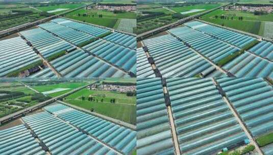 4K50新农业大棚种植示范区航拍高清在线视频素材下载