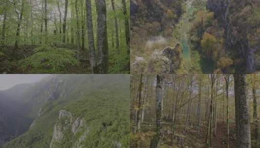 4K季节交替高清在线视频素材下载