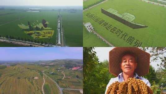 4k航拍万亩麦田空境丰收景象高清在线视频素材下载