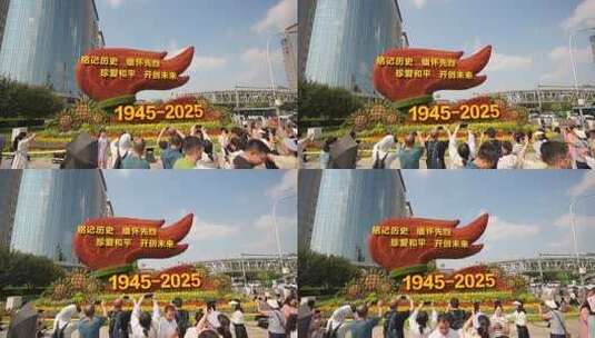 市民拍摄纪念主题花卉景观高清在线视频素材下载