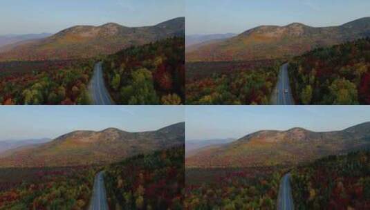 4k风景航拍五彩斑斓秋天的森林高清在线视频素材下载