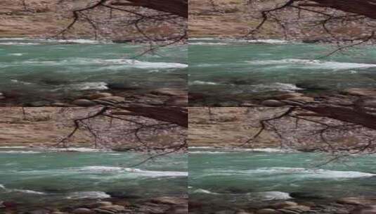（慢镜）碧绿的河边杏花盛开唯美意境高清在线视频素材下载