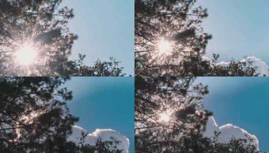 云层飘过刺眼的阳光从树荫透过高清在线视频素材下载