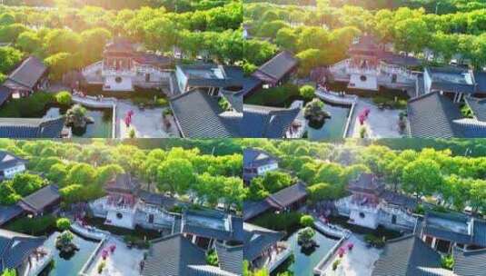 惠州西湖丰渚园光影 大景 1高清在线视频素材下载
