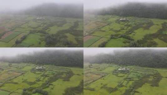 云南高山草甸牛羊奔跑植被高清航拍素材高清在线视频素材下载