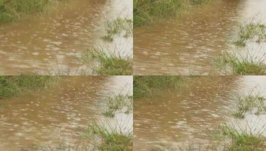 雨水落在河水中高清在线视频素材下载