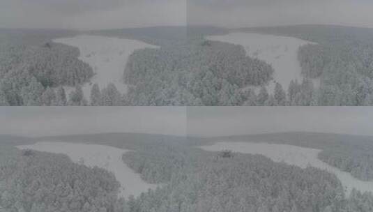 唯美冬季长白山老里克湖原始森林航拍高清在线视频素材下载