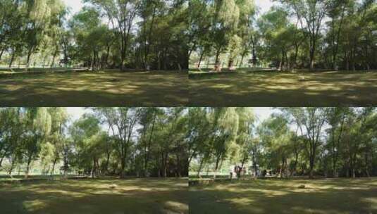 公园 树影延时高清在线视频素材下载