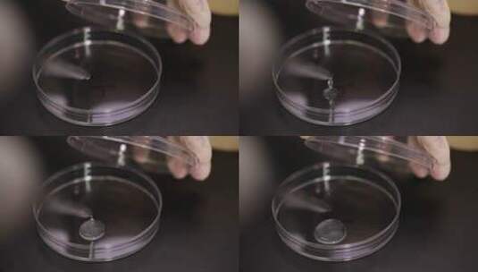 化学仪器检测生姜细菌高清在线视频素材下载