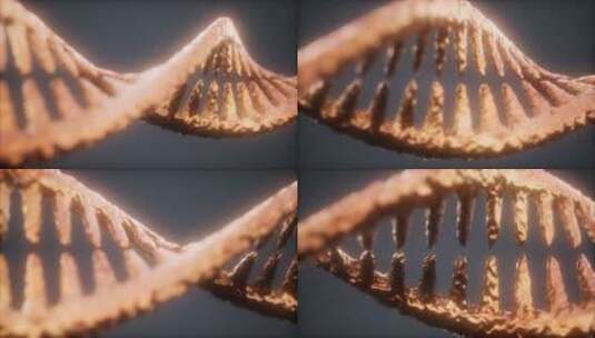 病毒 细胞 细菌 dna 螺旋高清在线视频素材下载