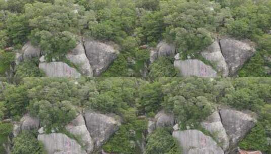 航拍森林中的大石头高清在线视频素材下载