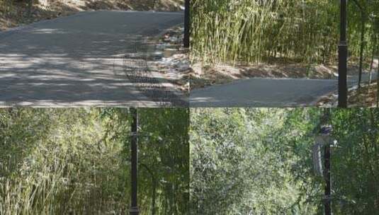 北京紫竹院公园竹林小径高清在线视频素材下载