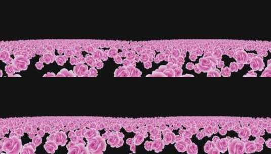 紫色康乃馨粒子海冲屏幕视频高清在线视频素材下载