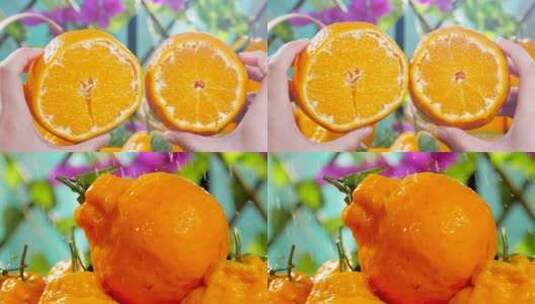 丑橘素材高清在线视频素材下载