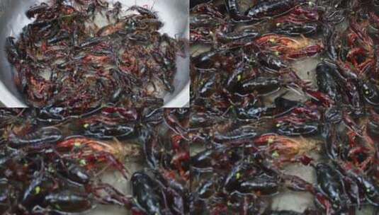 农贸市场售卖的小龙虾高清在线视频素材下载
