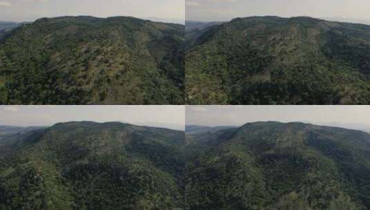 树木覆盖的山脉高清在线视频素材下载
