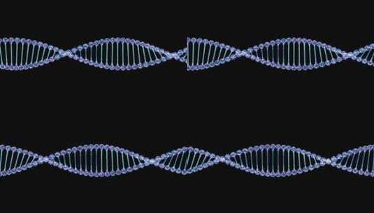 全息粒子DNA螺旋高清在线视频素材下载