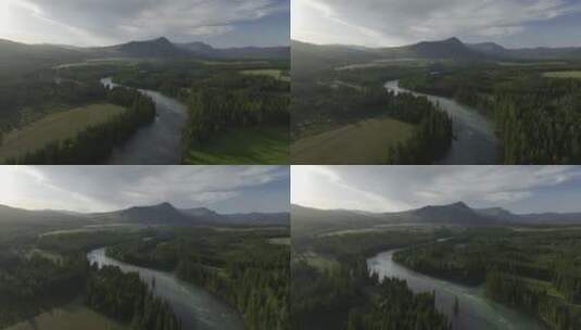 风光 新疆 树林 河流 航拍高清在线视频素材下载