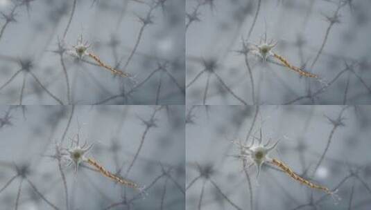 神经元神经树突轴突细胞膜三维动画高清在线视频素材下载