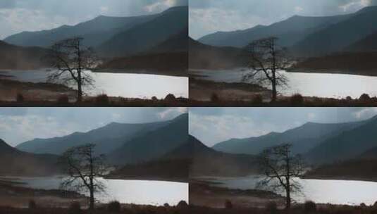 金沙江视频云南金沙江畔大山枯树高清在线视频素材下载